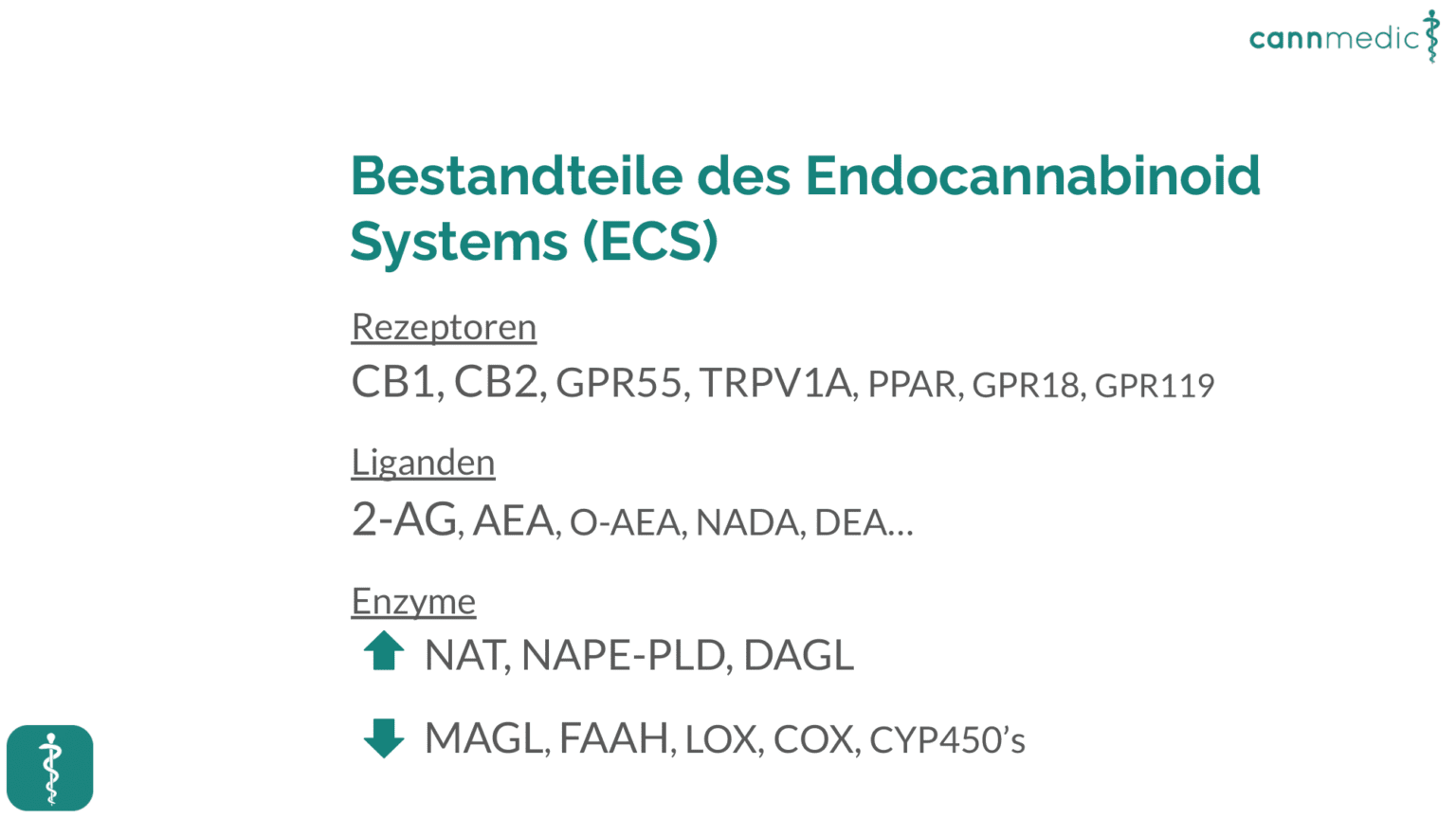 Vortrag Cannabinoide in der Medizin cannmedic